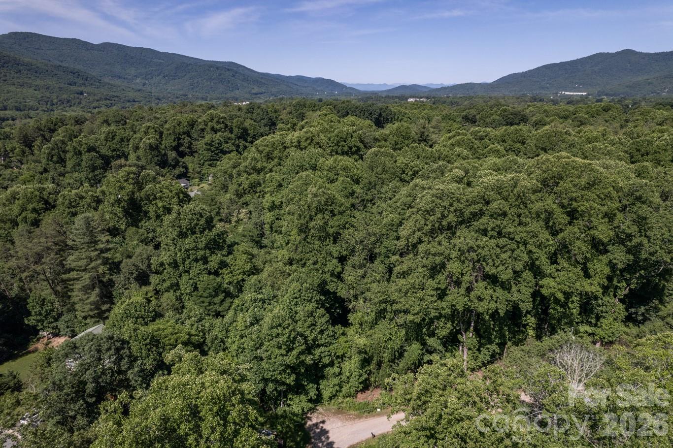 17 Chicago Avenue Black Mountain NC 28711