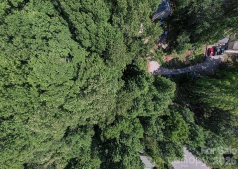 17 Chicago Avenue Black Mountain NC 28711