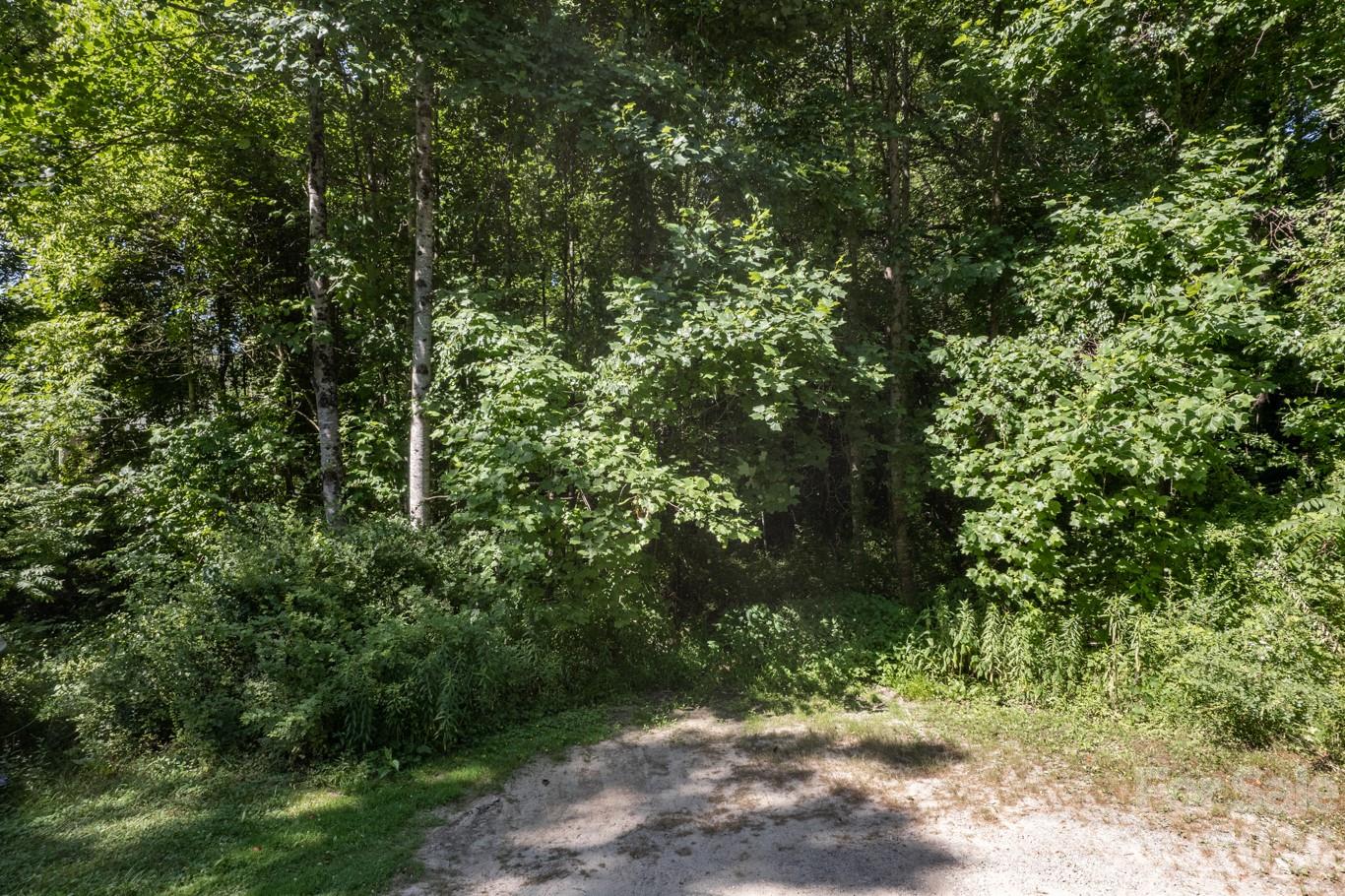17 Chicago Avenue Black Mountain NC 28711