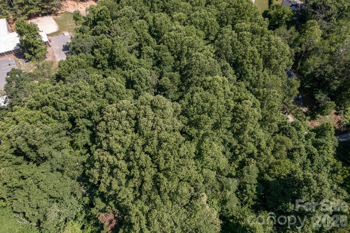 17 Chicago Avenue Black Mountain NC 28711