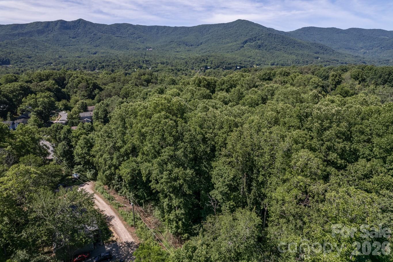 17 Chicago Avenue Black Mountain NC 28711