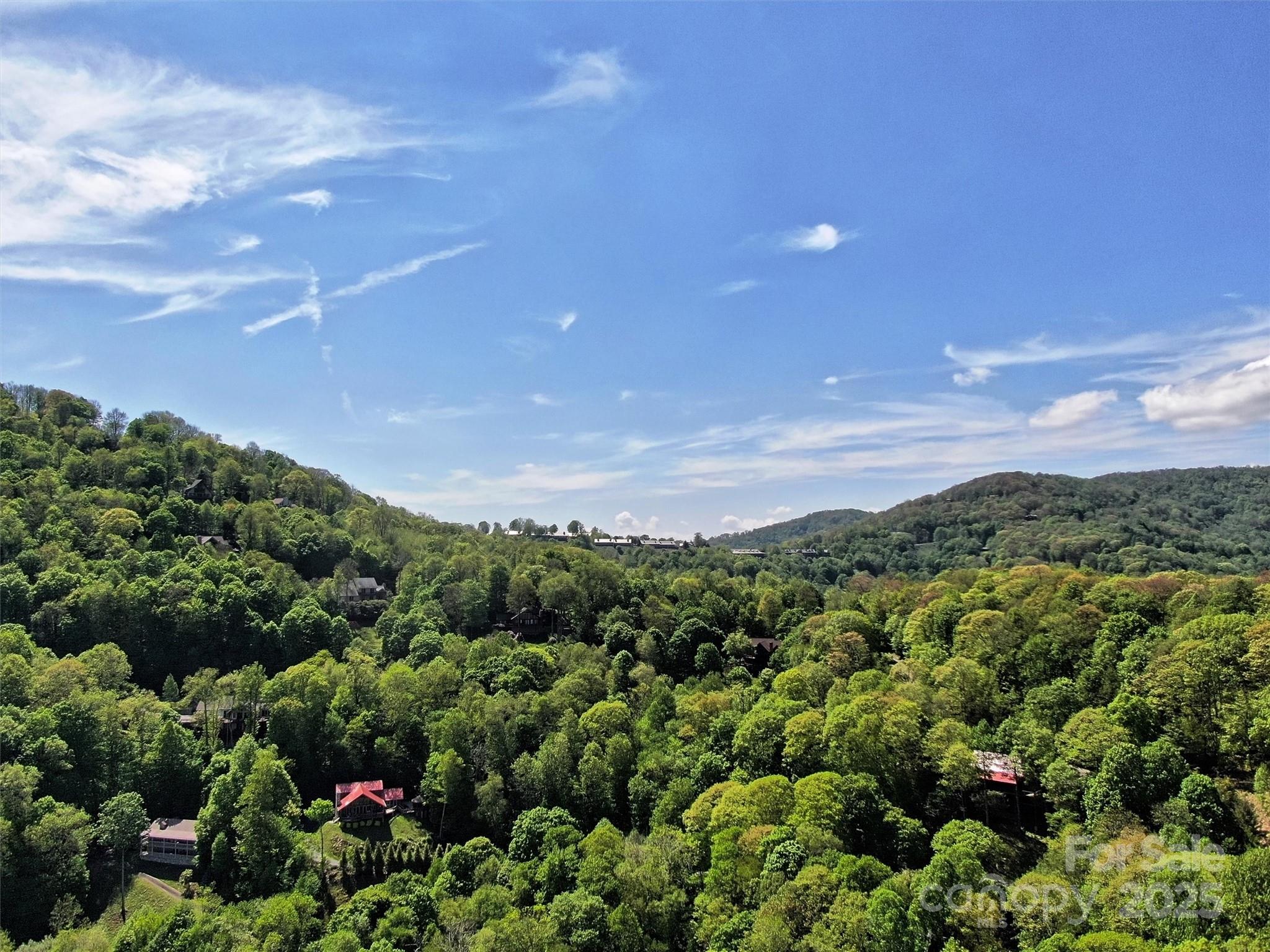 Tbd Goldenleaf Road Mars Hill NC 28754