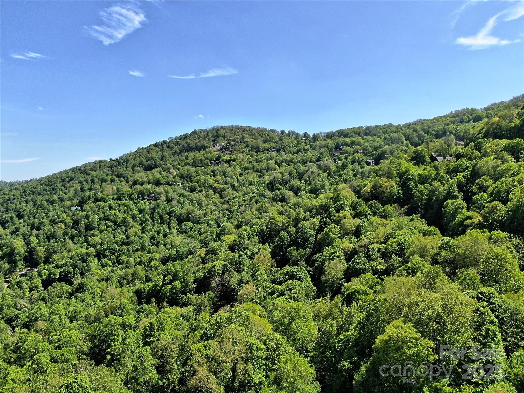 Tbd Goldenleaf Road Mars Hill NC 28754