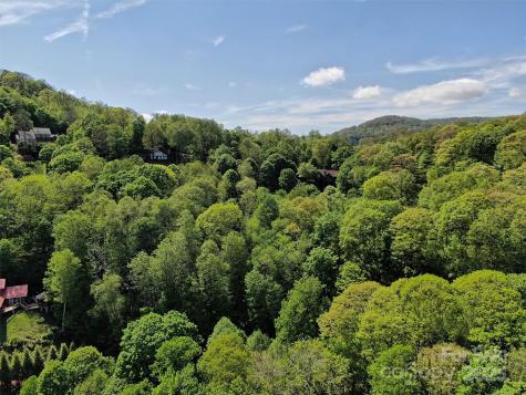 Tbd Goldenleaf Road Mars Hill NC 28754