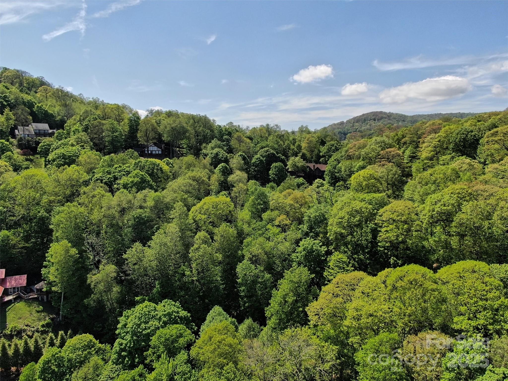 Tbd Goldenleaf Road Mars Hill NC 28754
