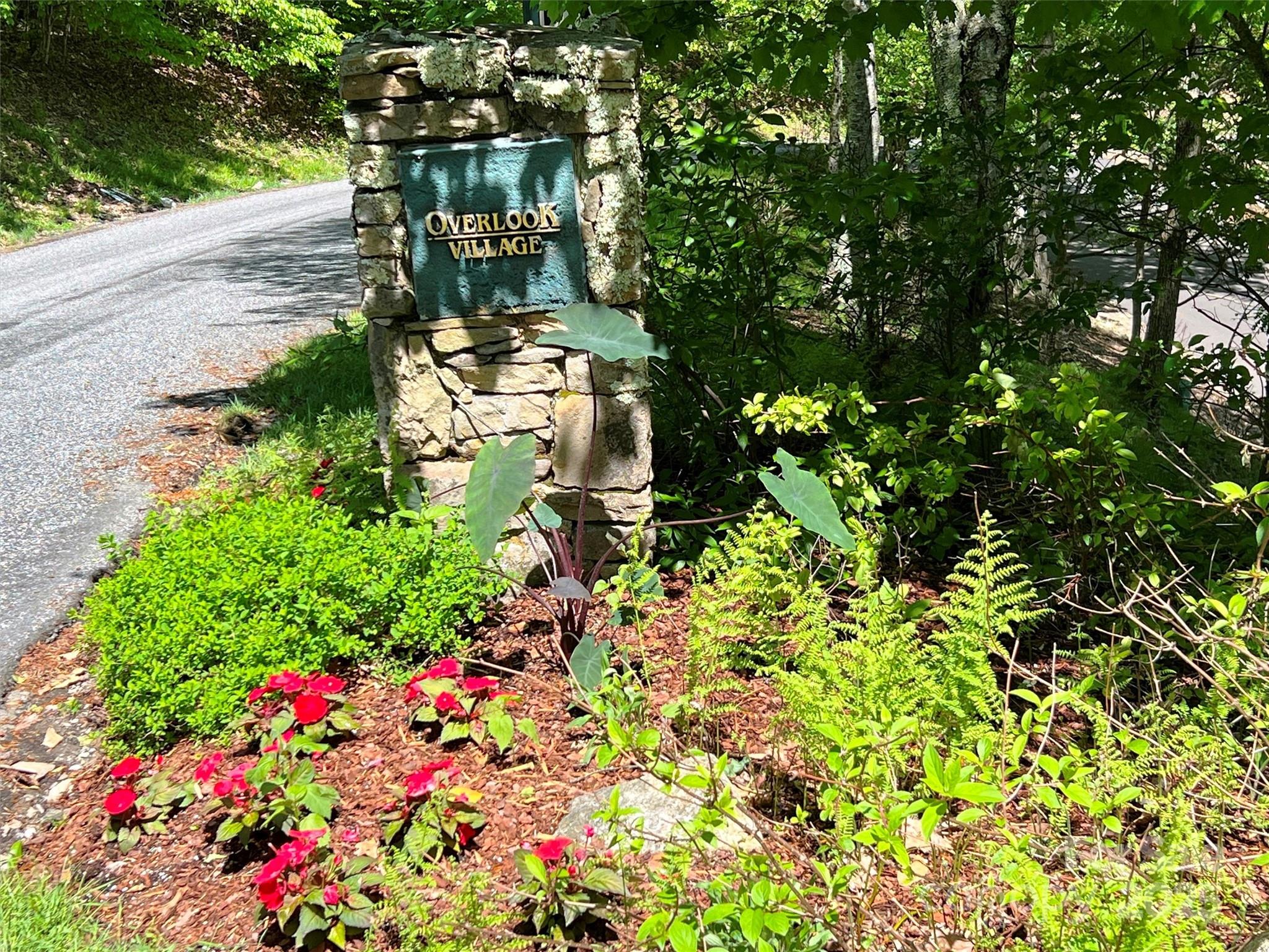 Tbd Goldenleaf Road Mars Hill NC 28754