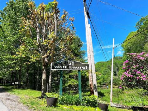Tbd Goldenleaf Road Mars Hill NC 28754