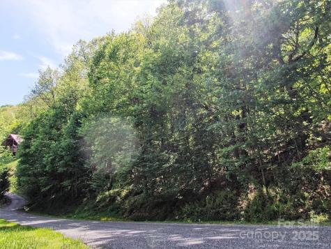 Tbd Goldenleaf Road Mars Hill NC 28754