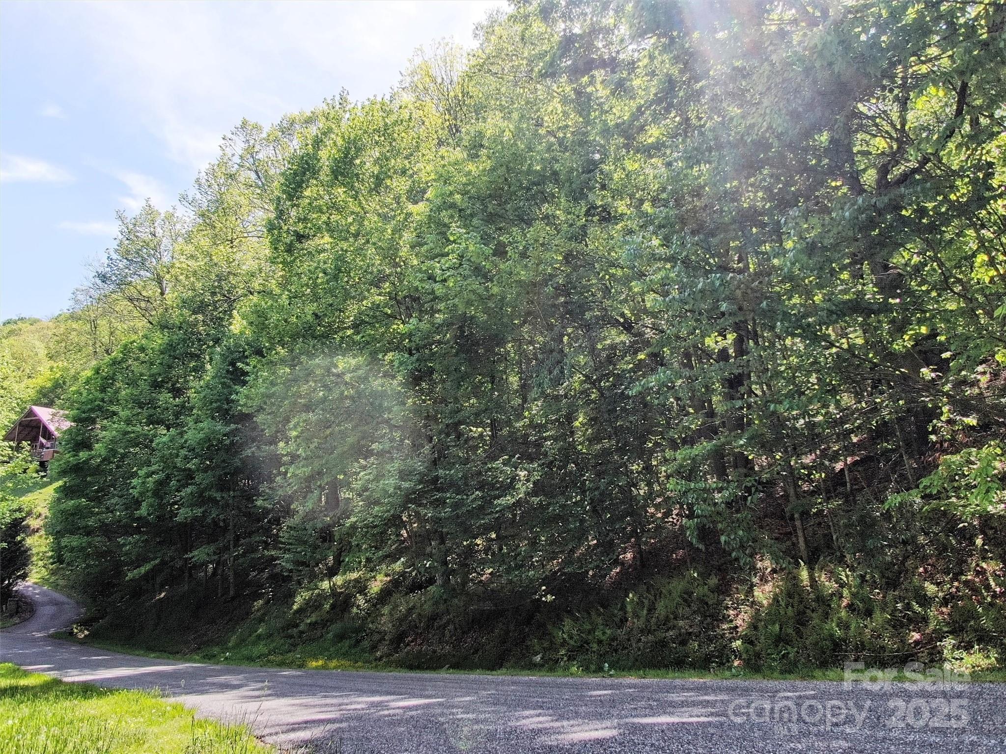 Tbd Goldenleaf Road Mars Hill NC 28754