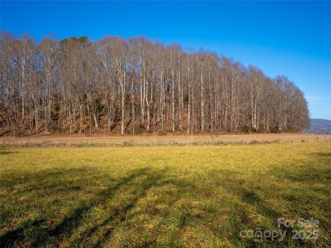000 Lyons Mountain Road Brevard NC 28712
