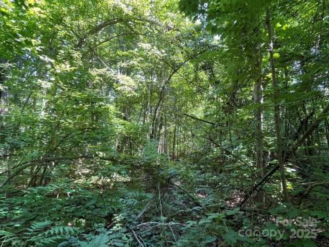 3287 Stones Throw Drive Valdese NC 28690