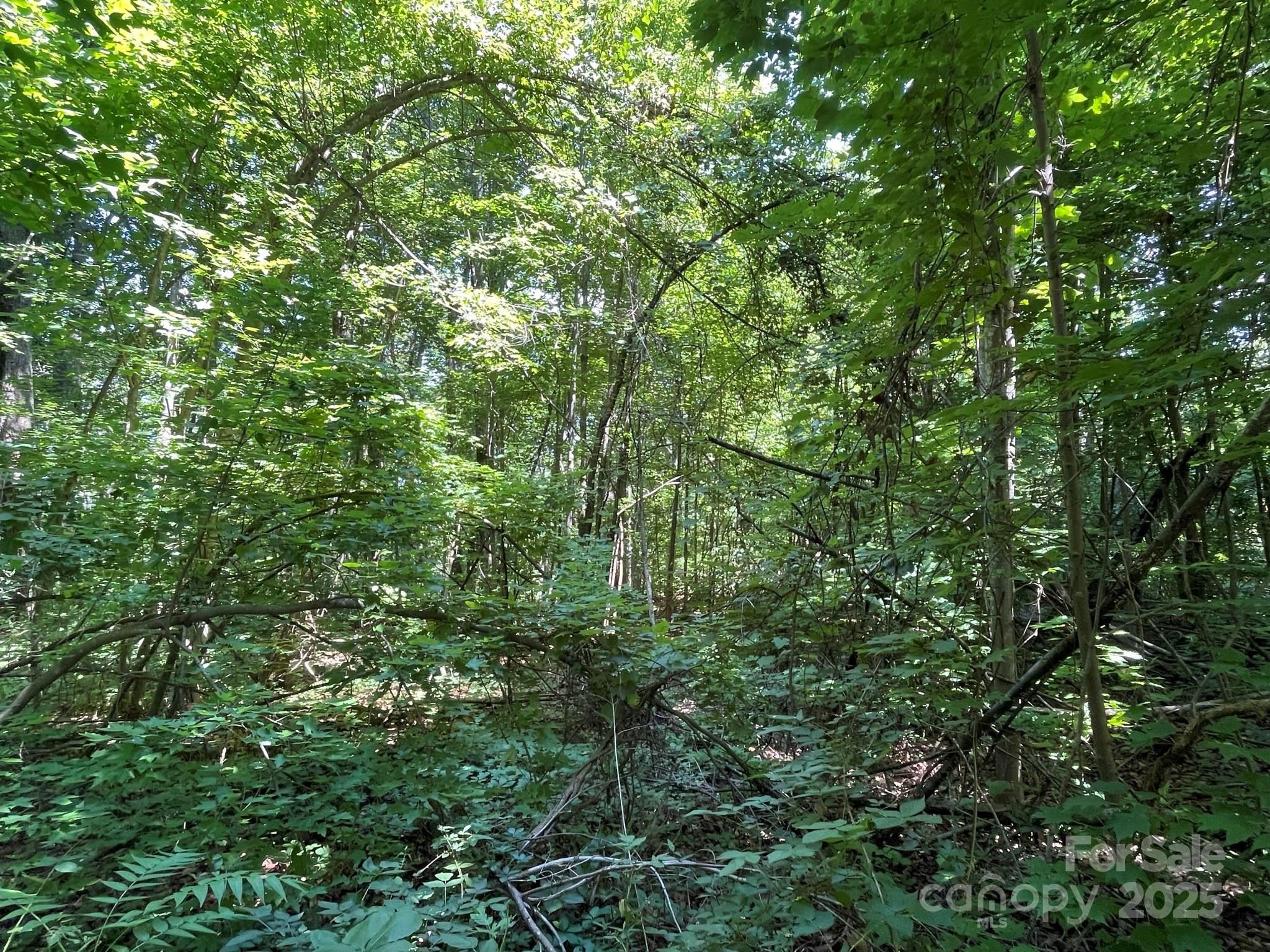 3287 Stones Throw Drive Valdese NC 28690