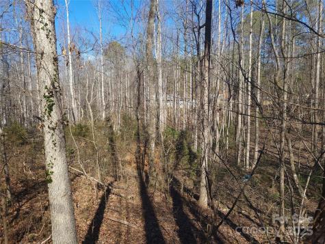 000 Skylark Lane Tryon NC 28782