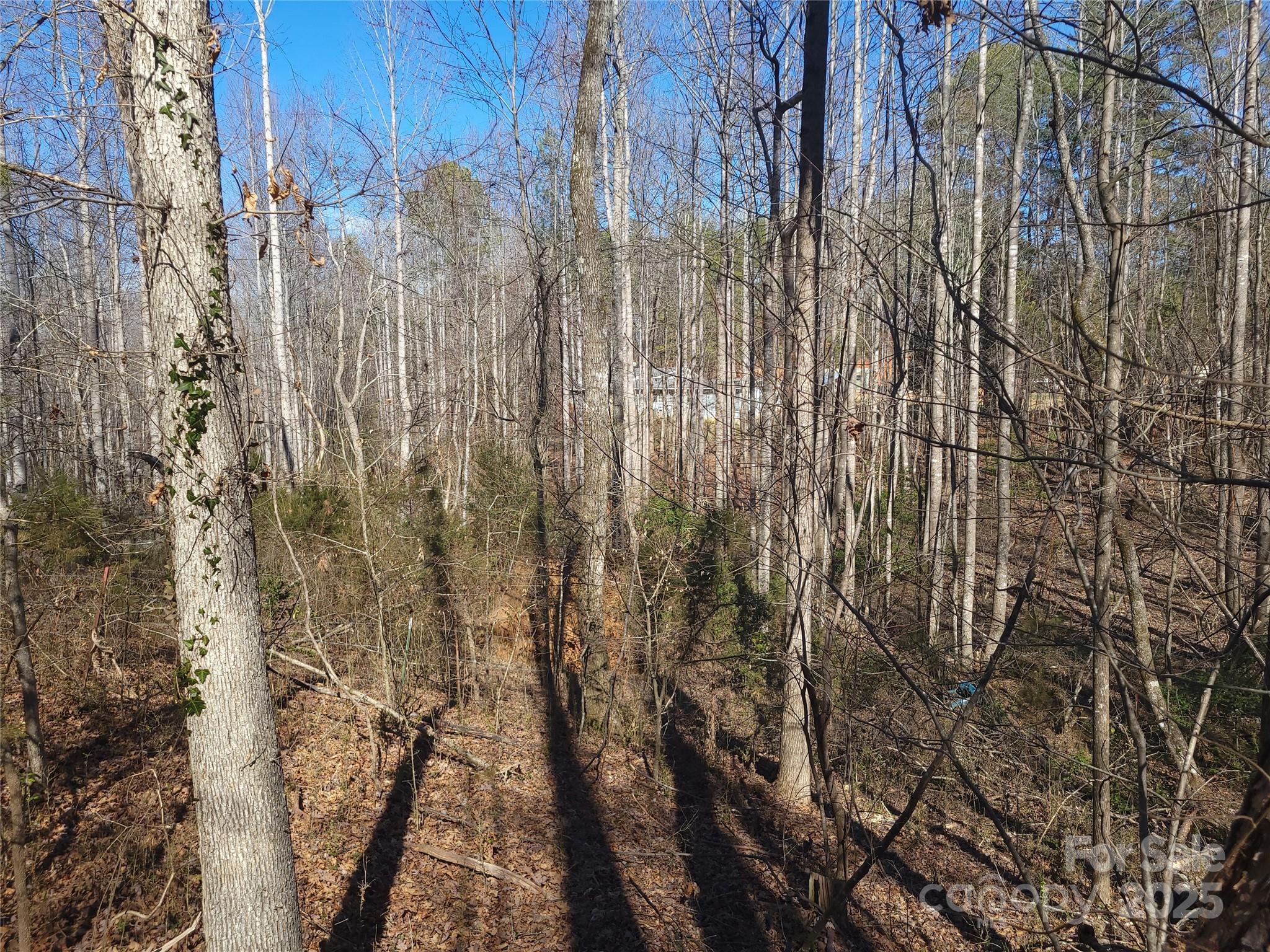 000 Skylark Lane Tryon NC 28782