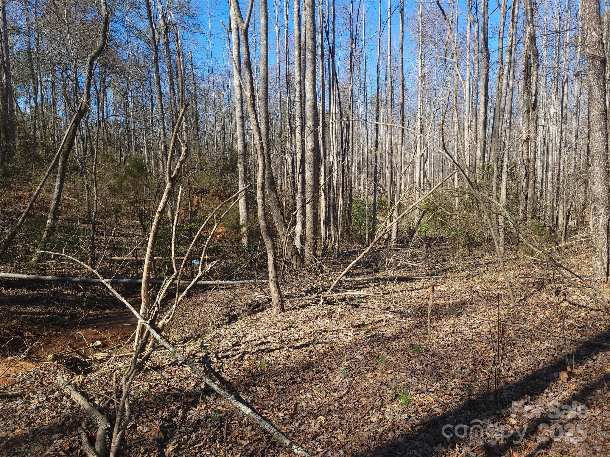 000 Skylark Lane Tryon NC 28782