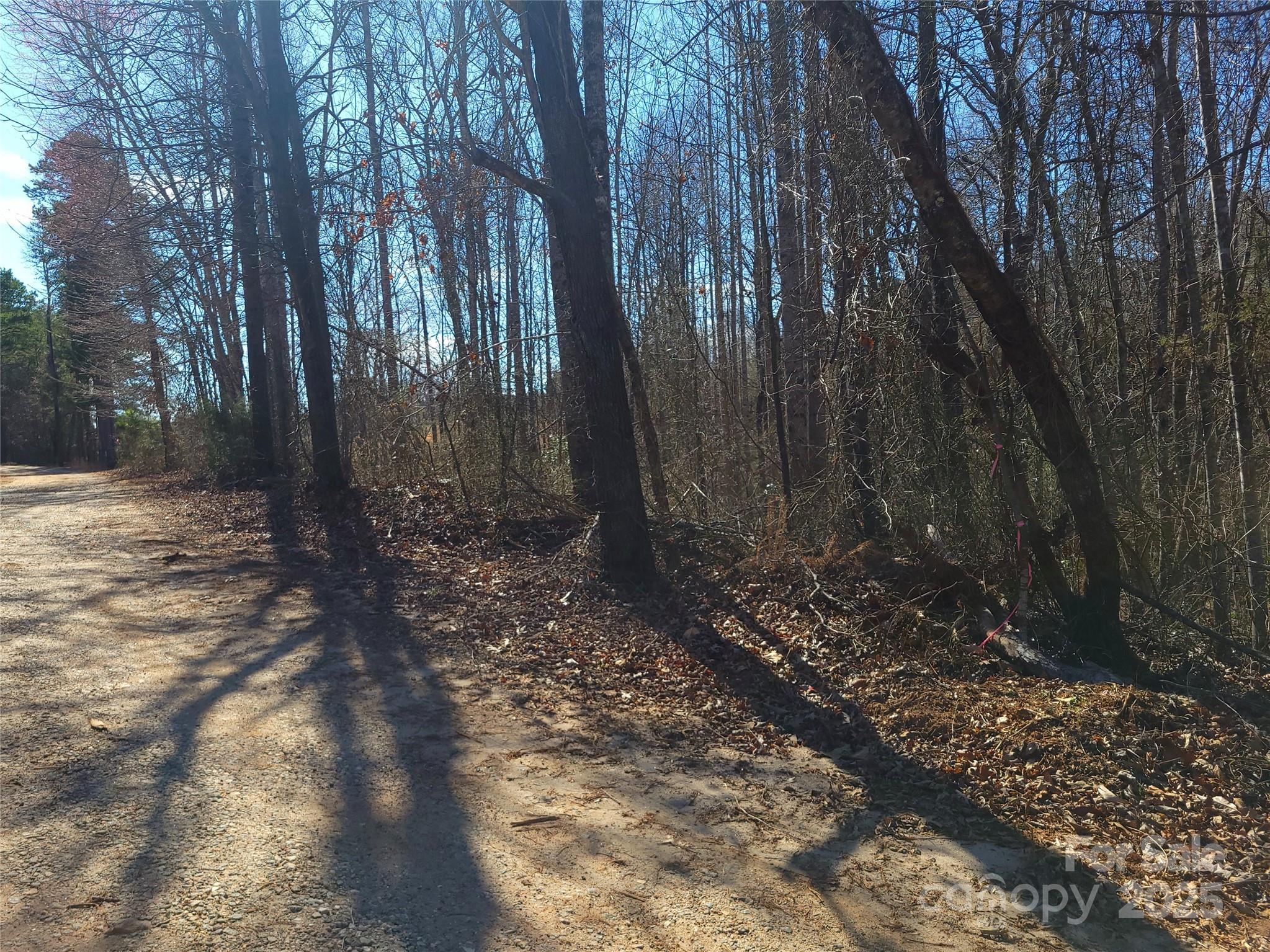 000 Skylark Lane Tryon NC 28782
