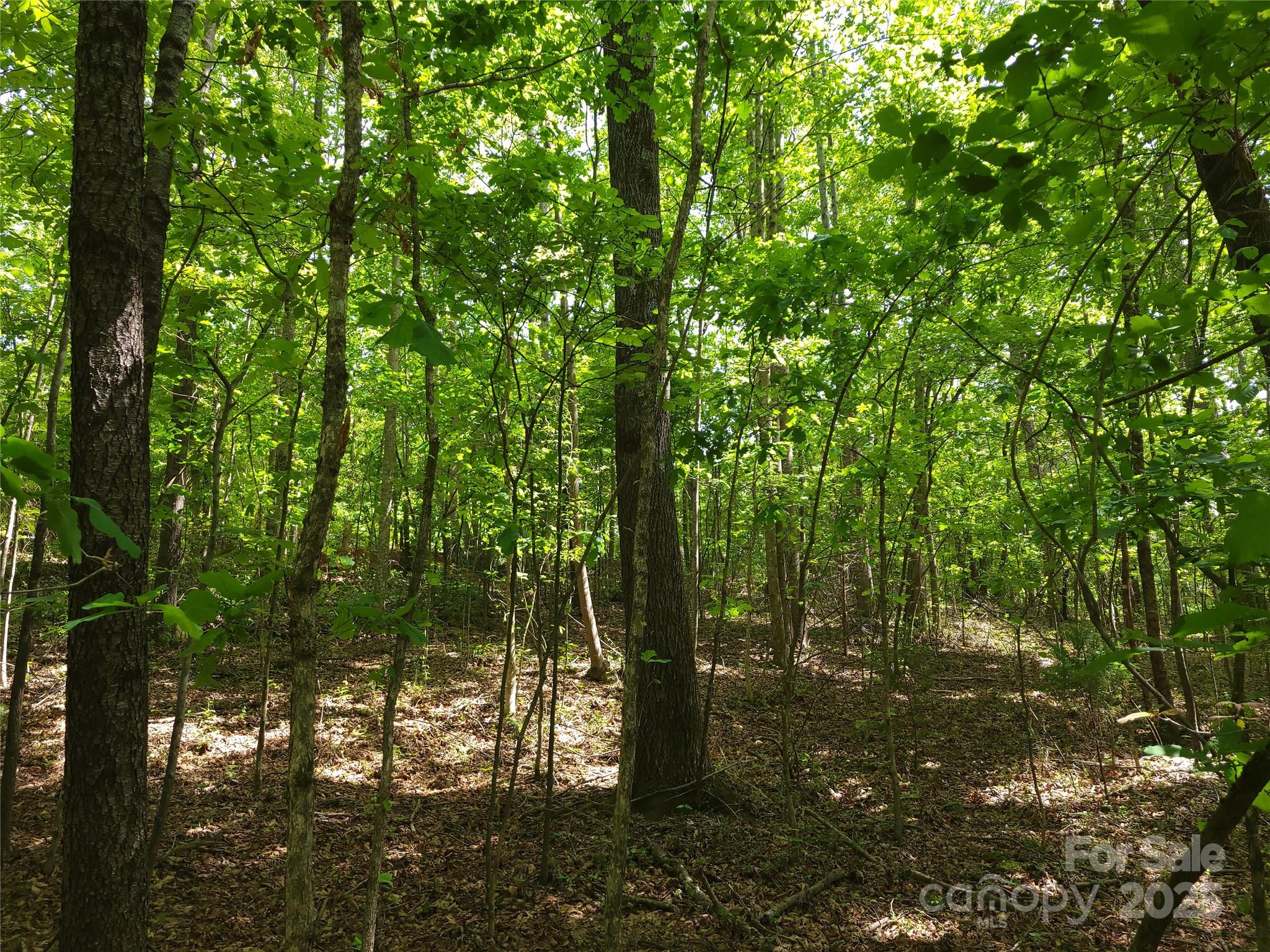 000 Skylark Lane Tryon NC 28782