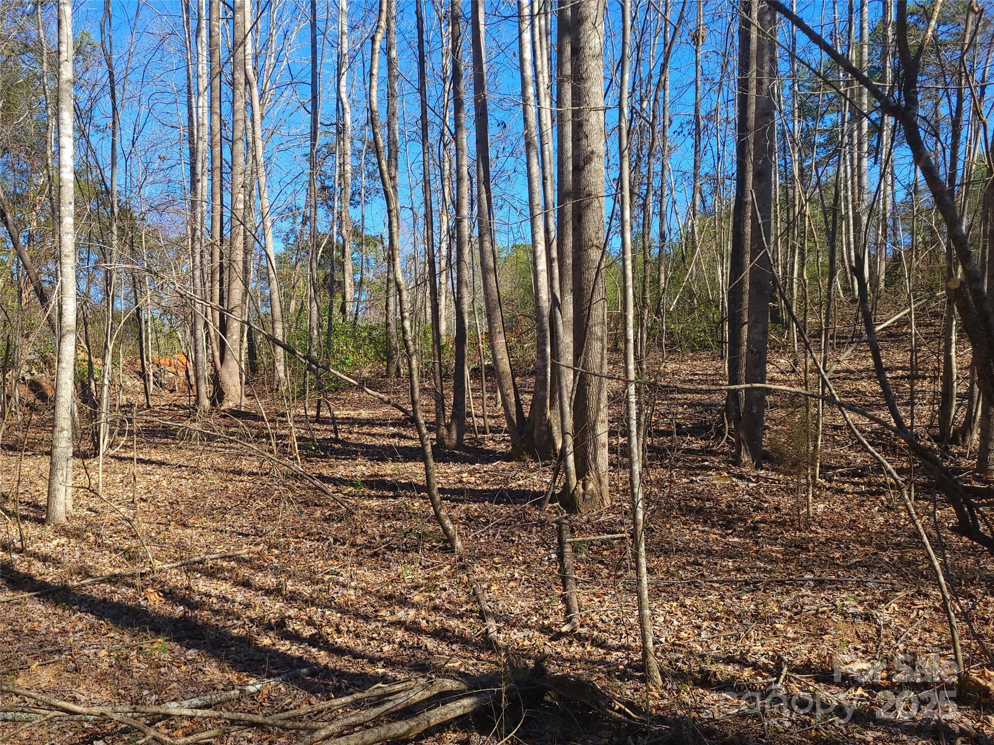 000 Skylark Lane Tryon NC 28782