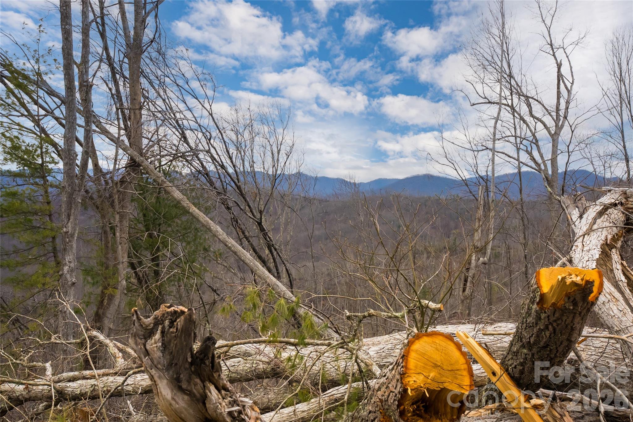 99999 Elk Mountain Scenic Highway Asheville NC 28804