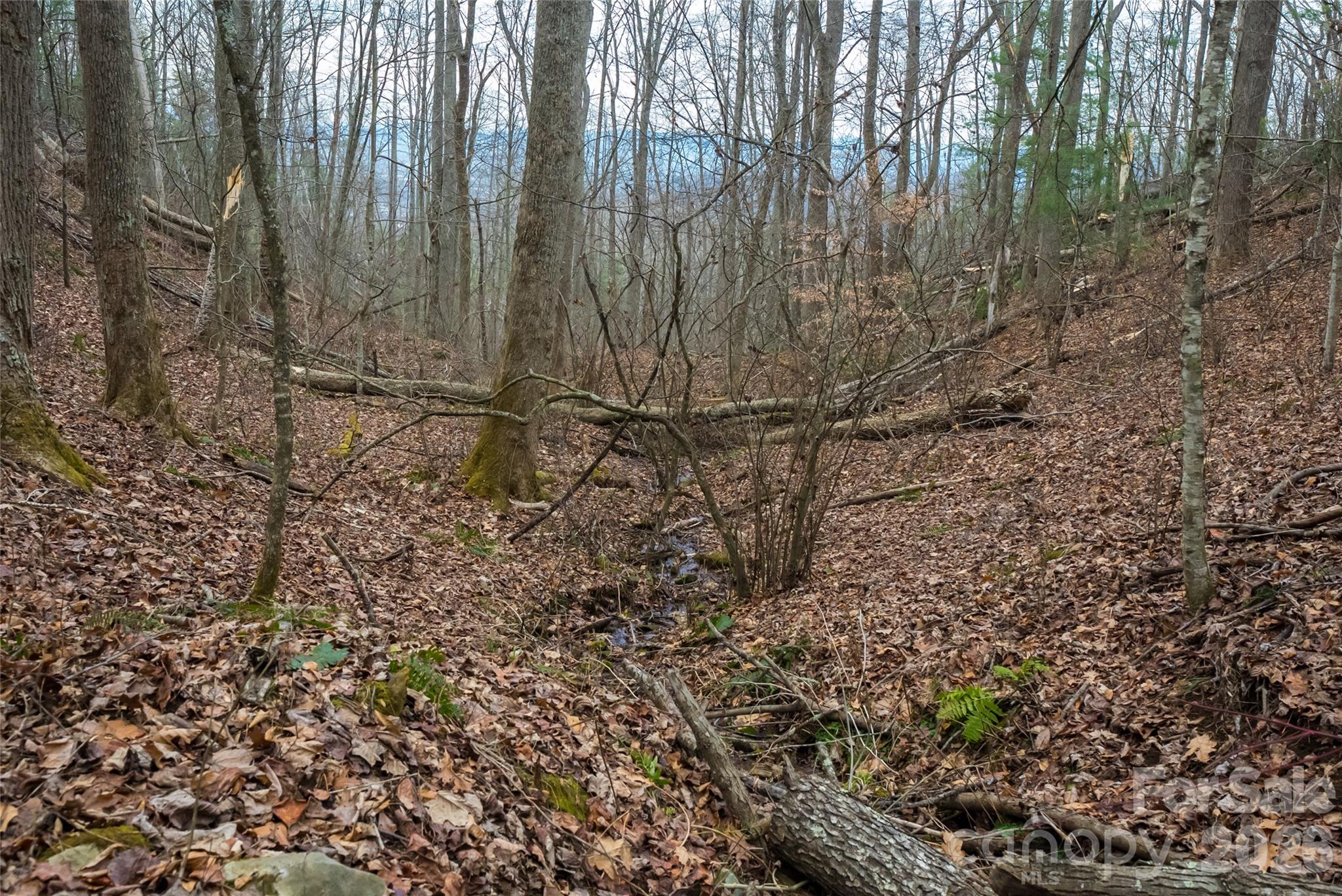 99999 Elk Mountain Scenic Highway Asheville NC 28804