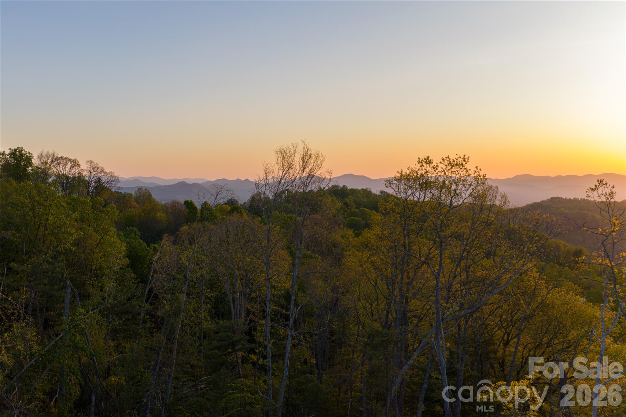 99999 Elk Mountain Scenic Highway Asheville NC 28804