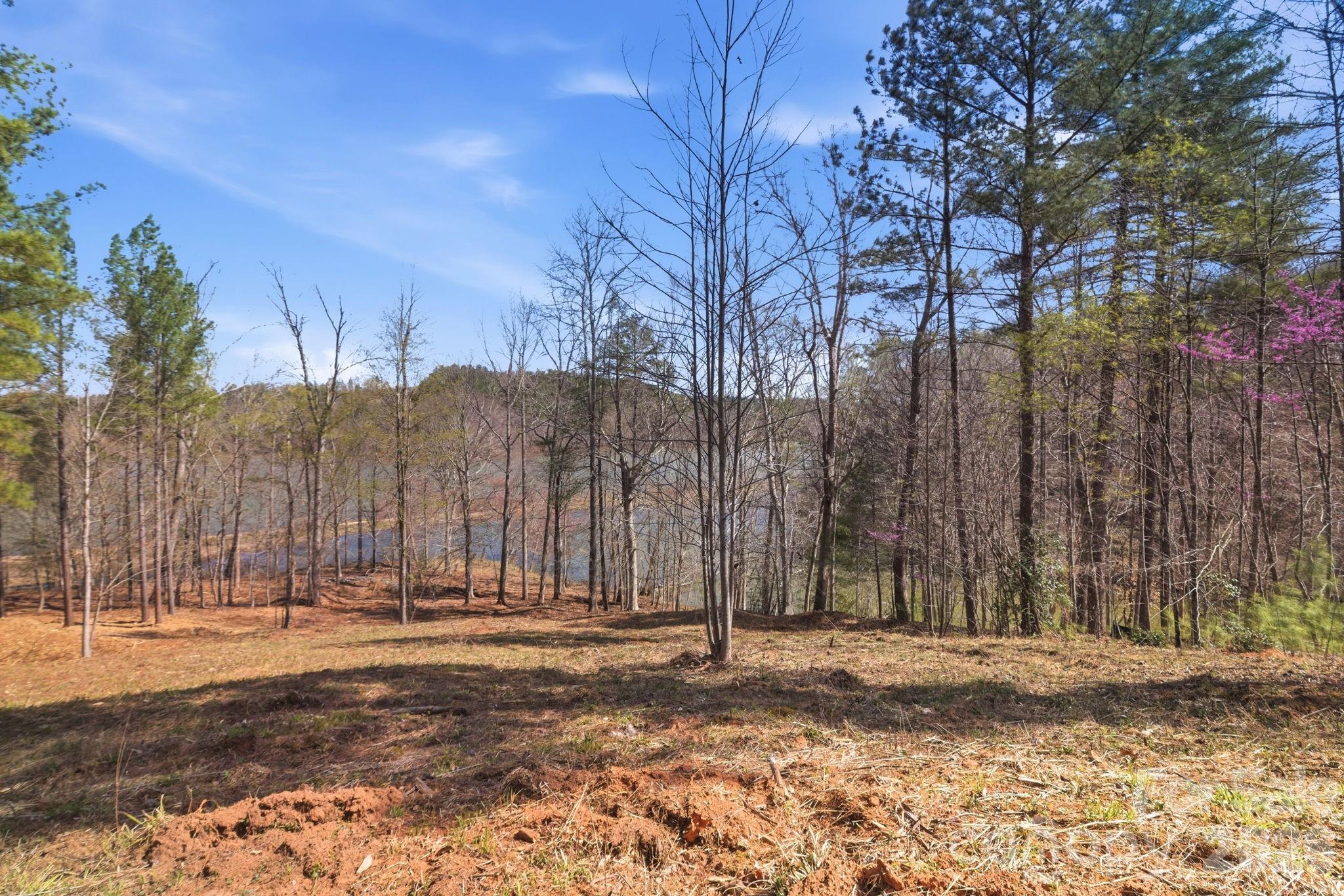 193 Table Rock Trace NW Valdese NC 28690
