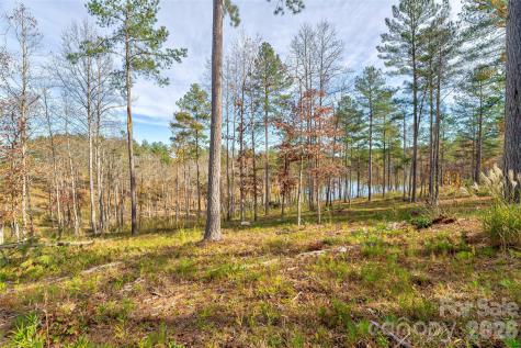 3084 Mount Harvard Court Connelly Springs NC 28612