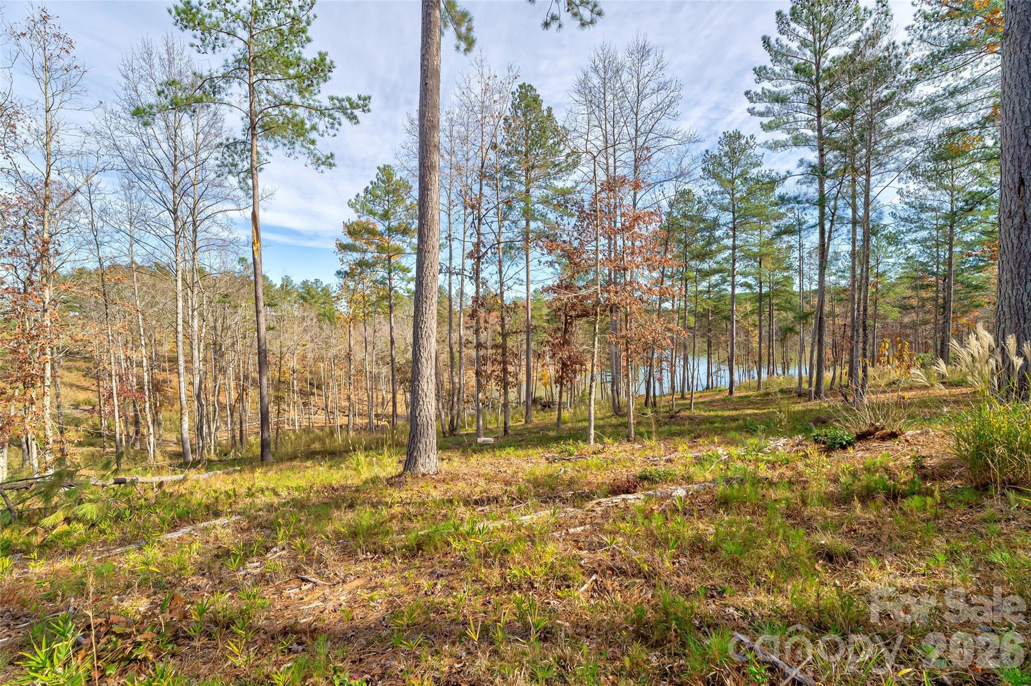 3084 Mount Harvard Court Connelly Springs NC 28612