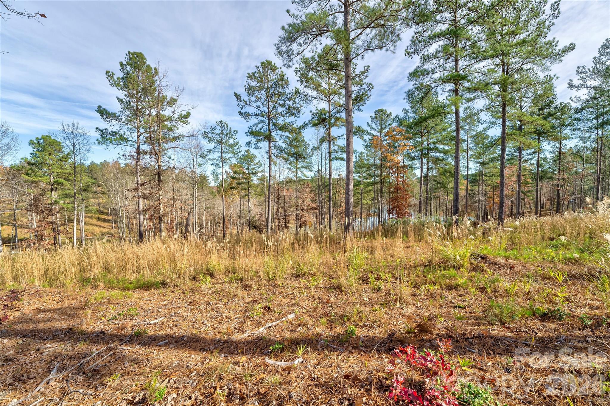 3084 Mount Harvard Court Connelly Springs NC 28612