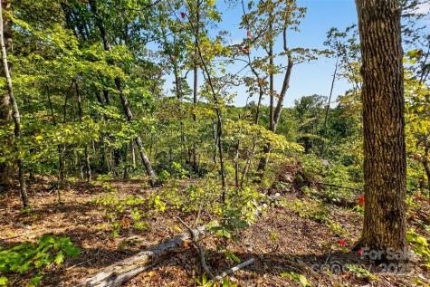 366 Boland Drive Lake Lure NC 28746