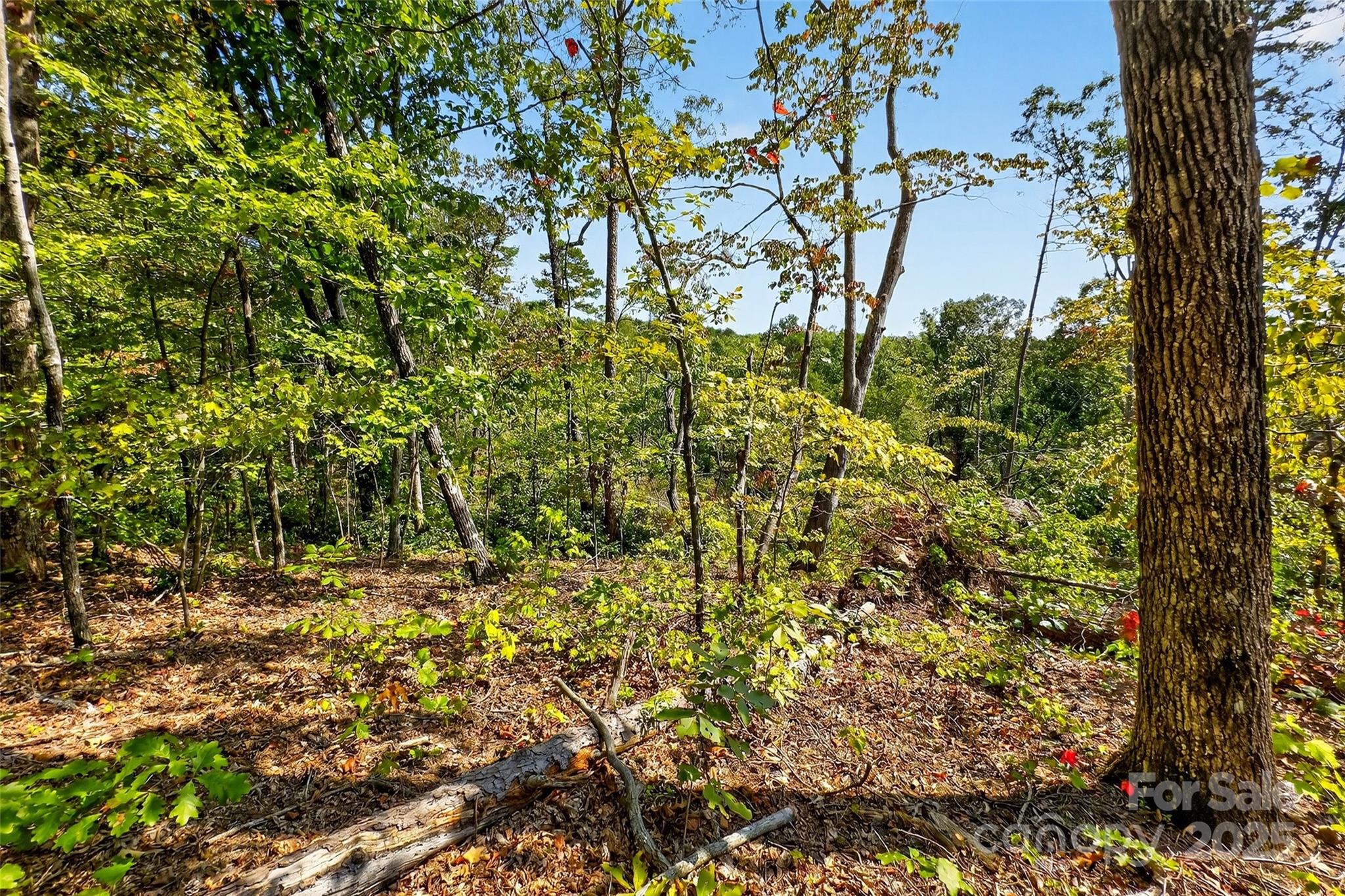 366 Boland Drive Lake Lure NC 28746