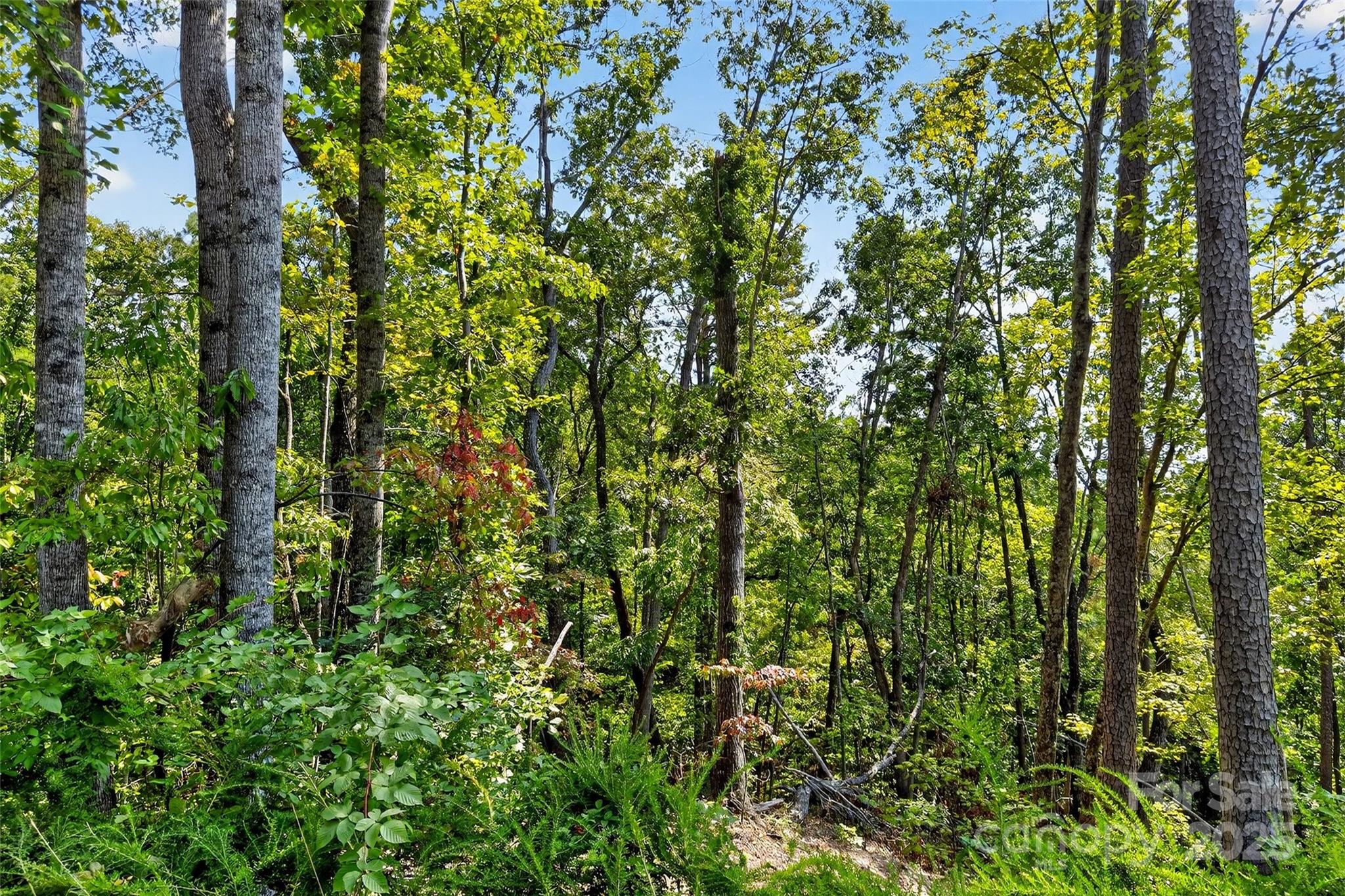 366 Boland Drive Lake Lure NC 28746