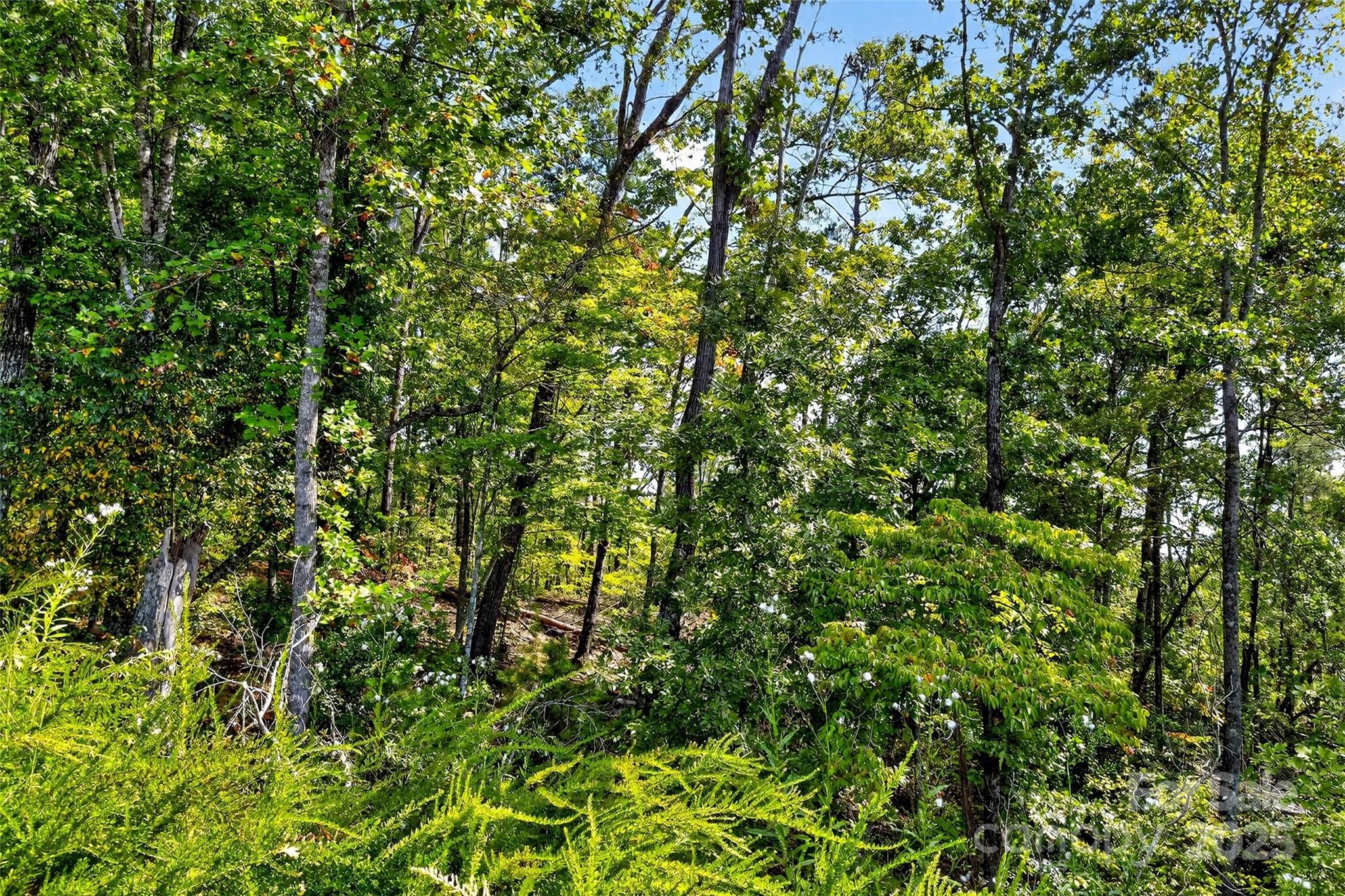 366 Boland Drive Lake Lure NC 28746