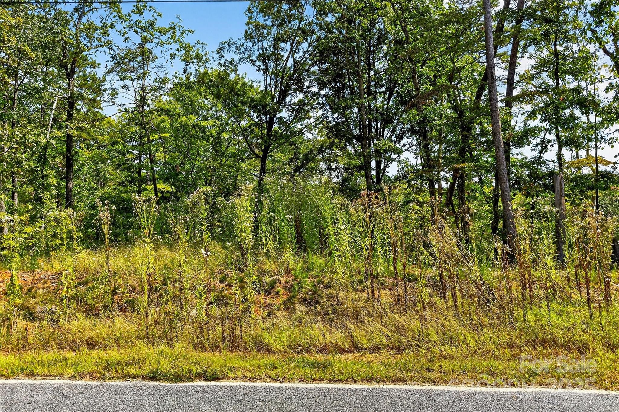 366 Boland Drive Lake Lure NC 28746
