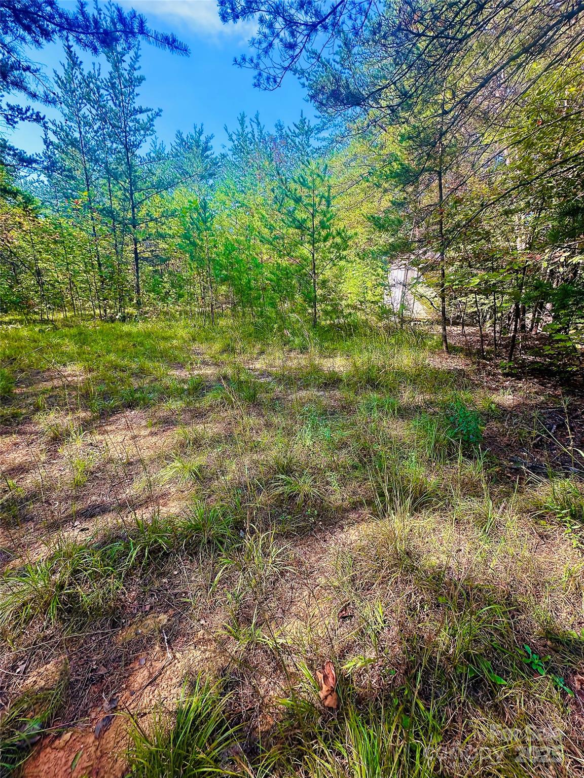 366 Boland Drive Lake Lure NC 28746
