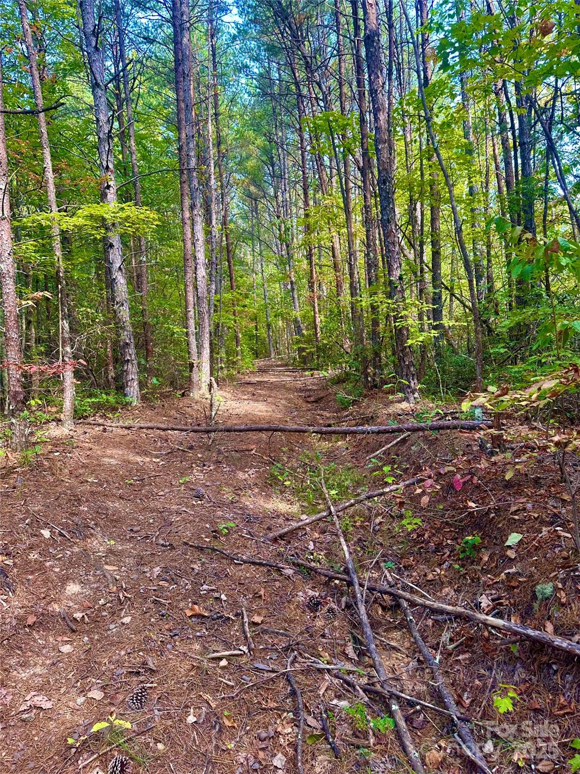 366 Boland Drive Lake Lure NC 28746