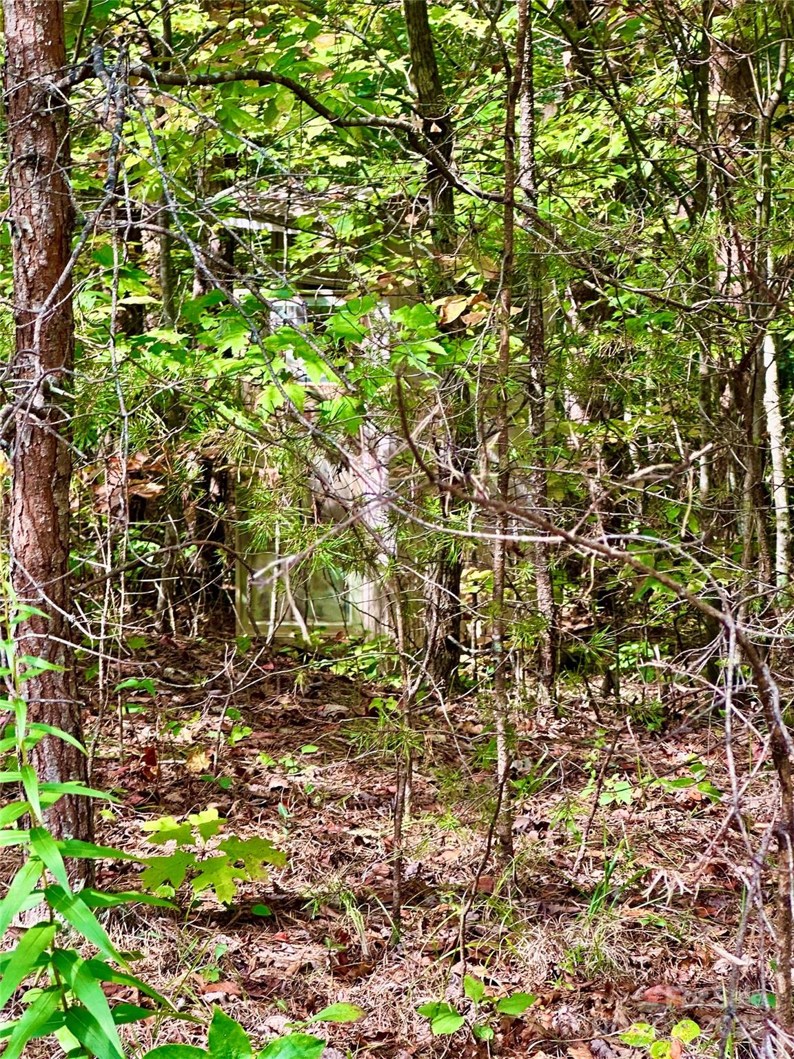 366 Boland Drive Lake Lure NC 28746