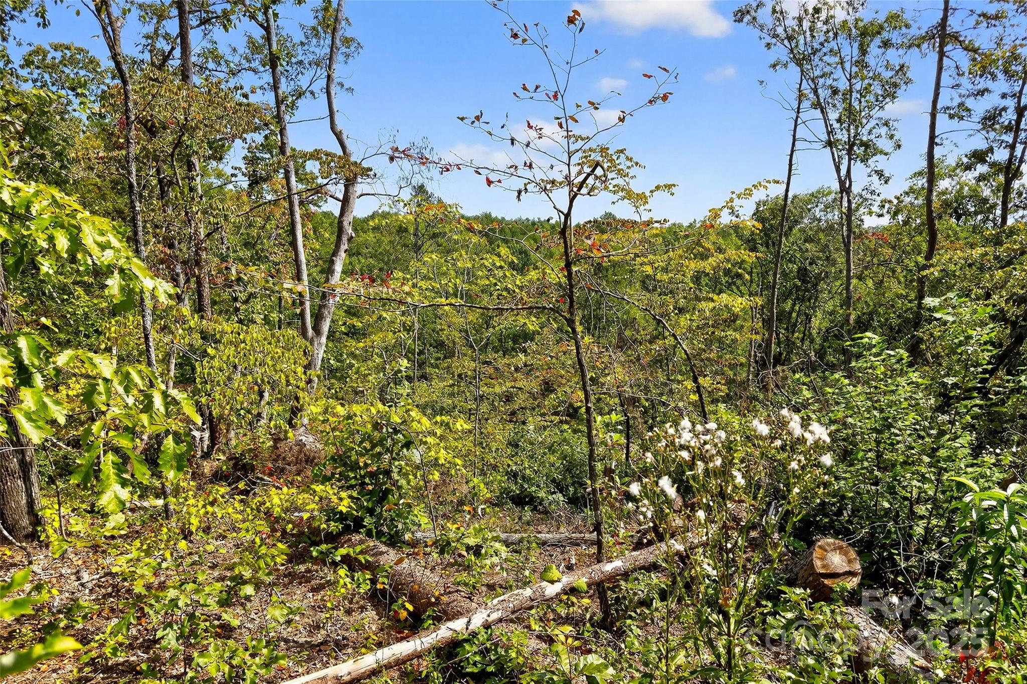 366 Boland Drive Lake Lure NC 28746