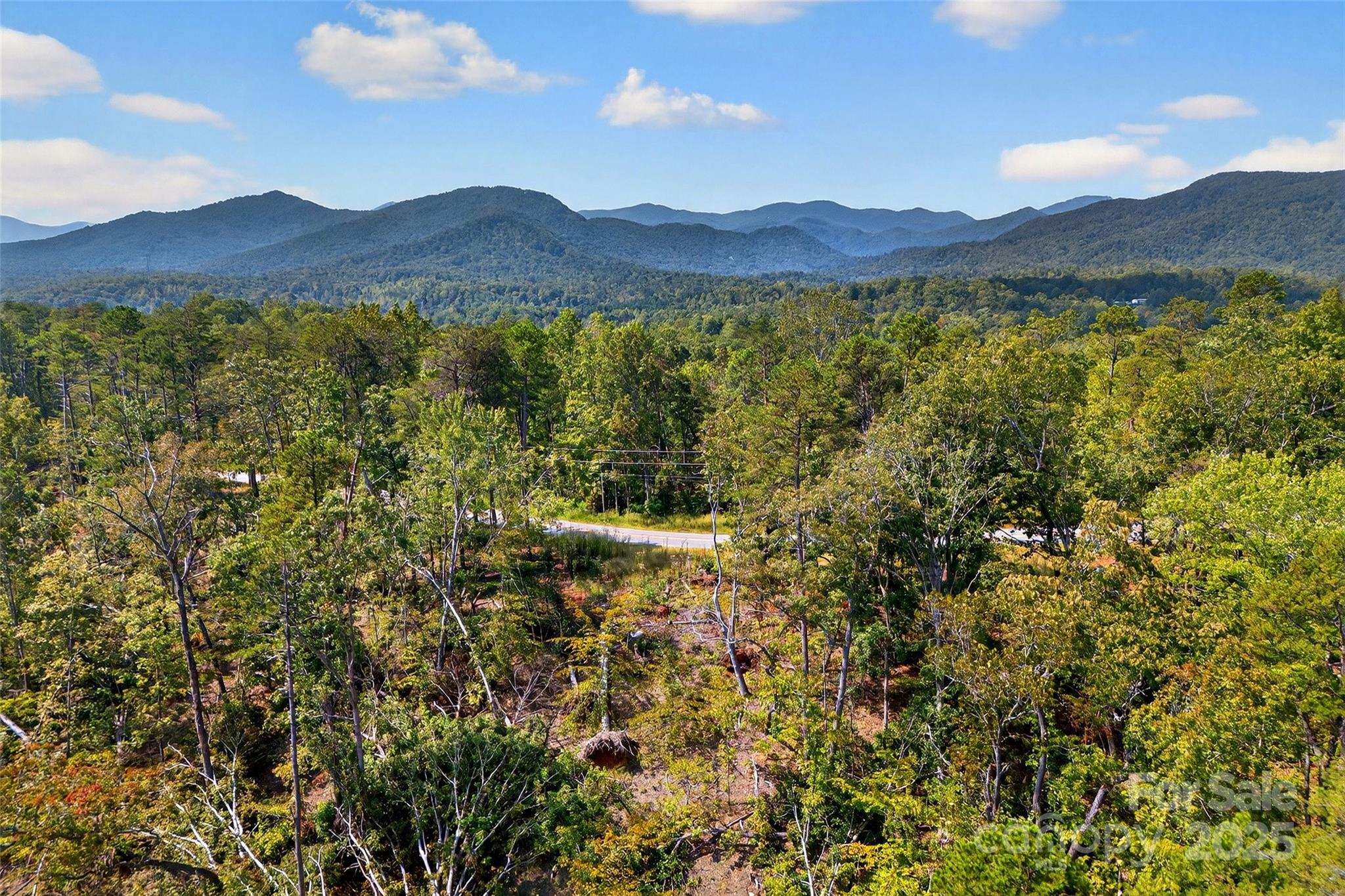 366 Boland Drive Lake Lure NC 28746