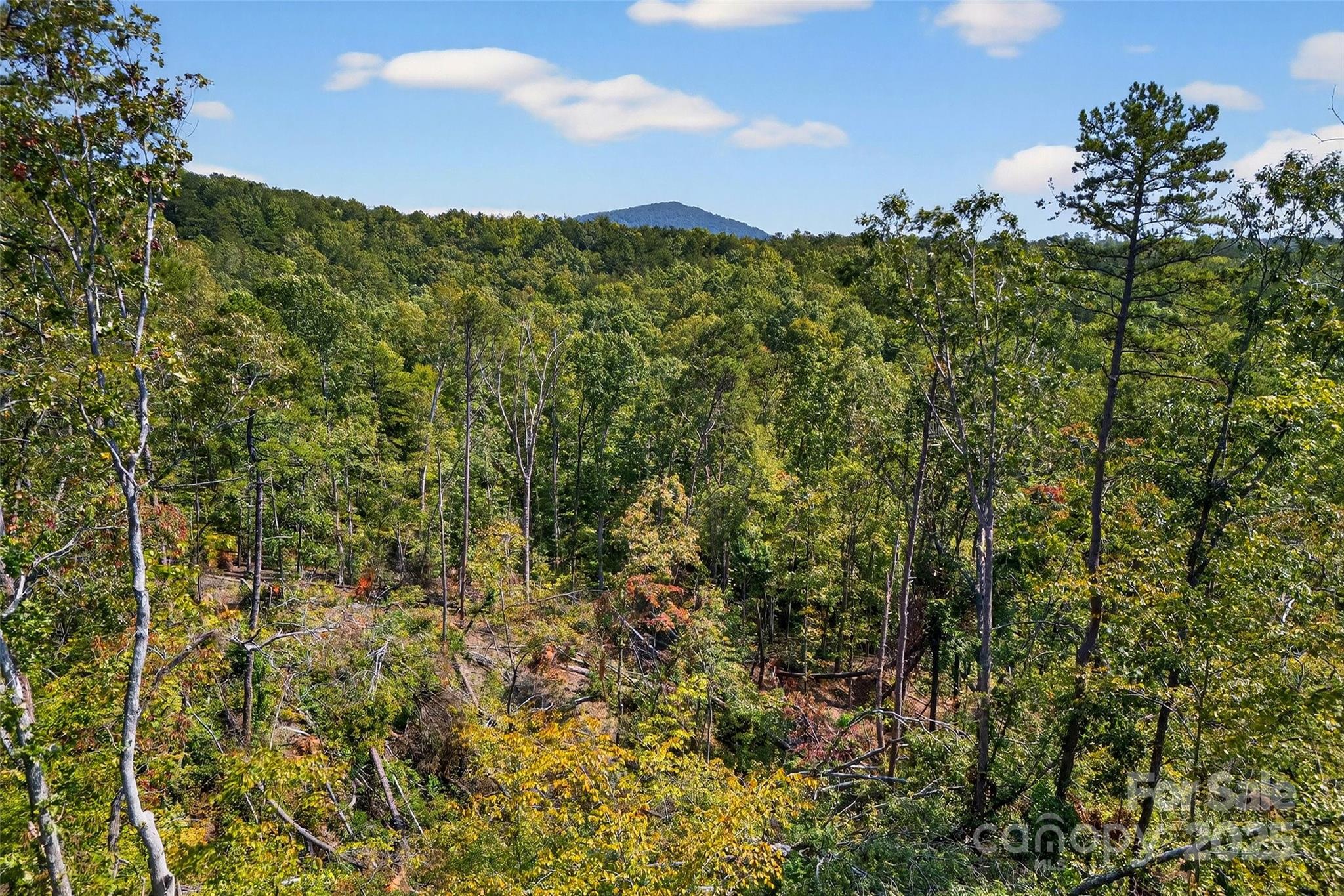 366 Boland Drive Lake Lure NC 28746