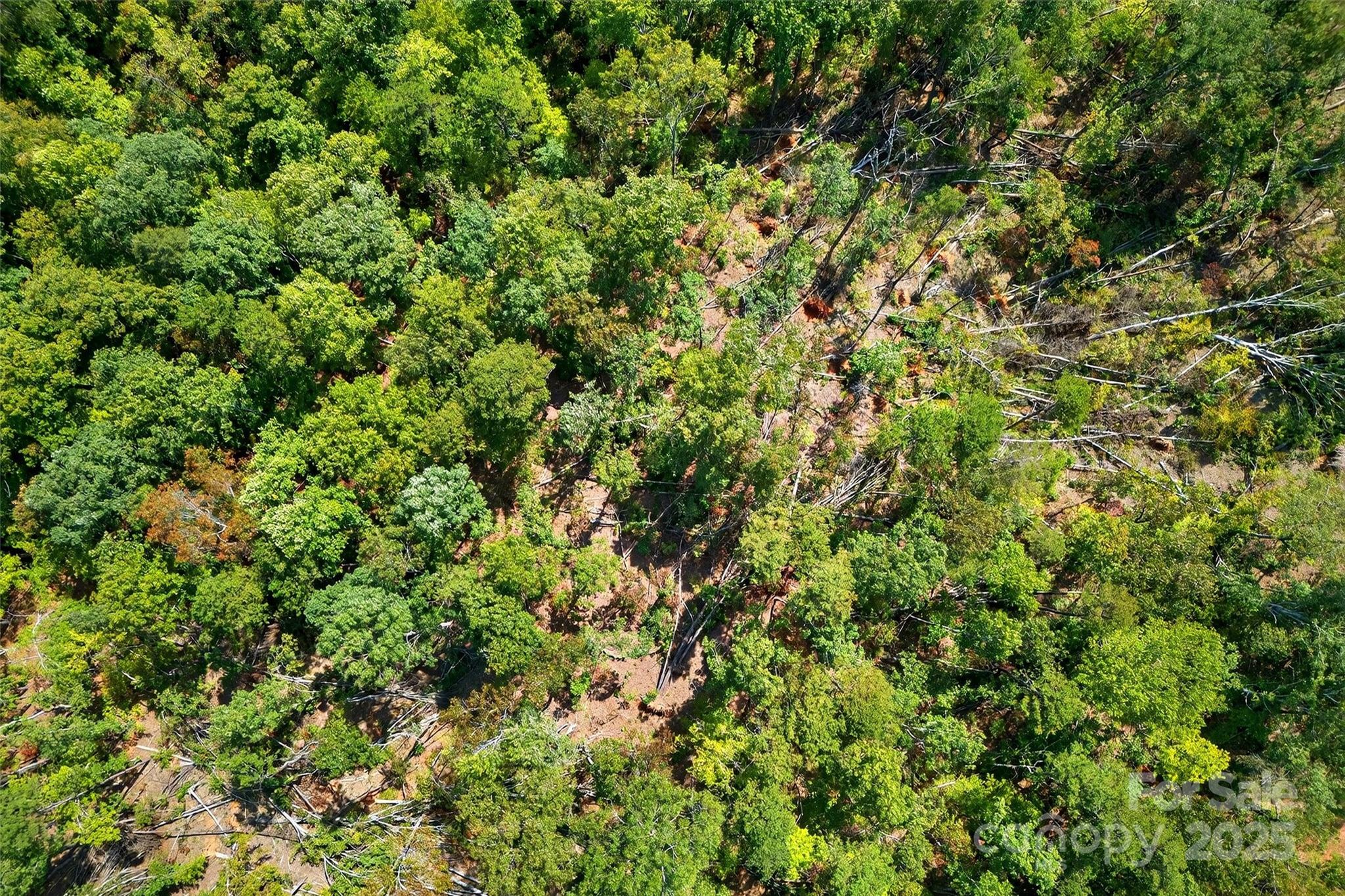 366 Boland Drive Lake Lure NC 28746