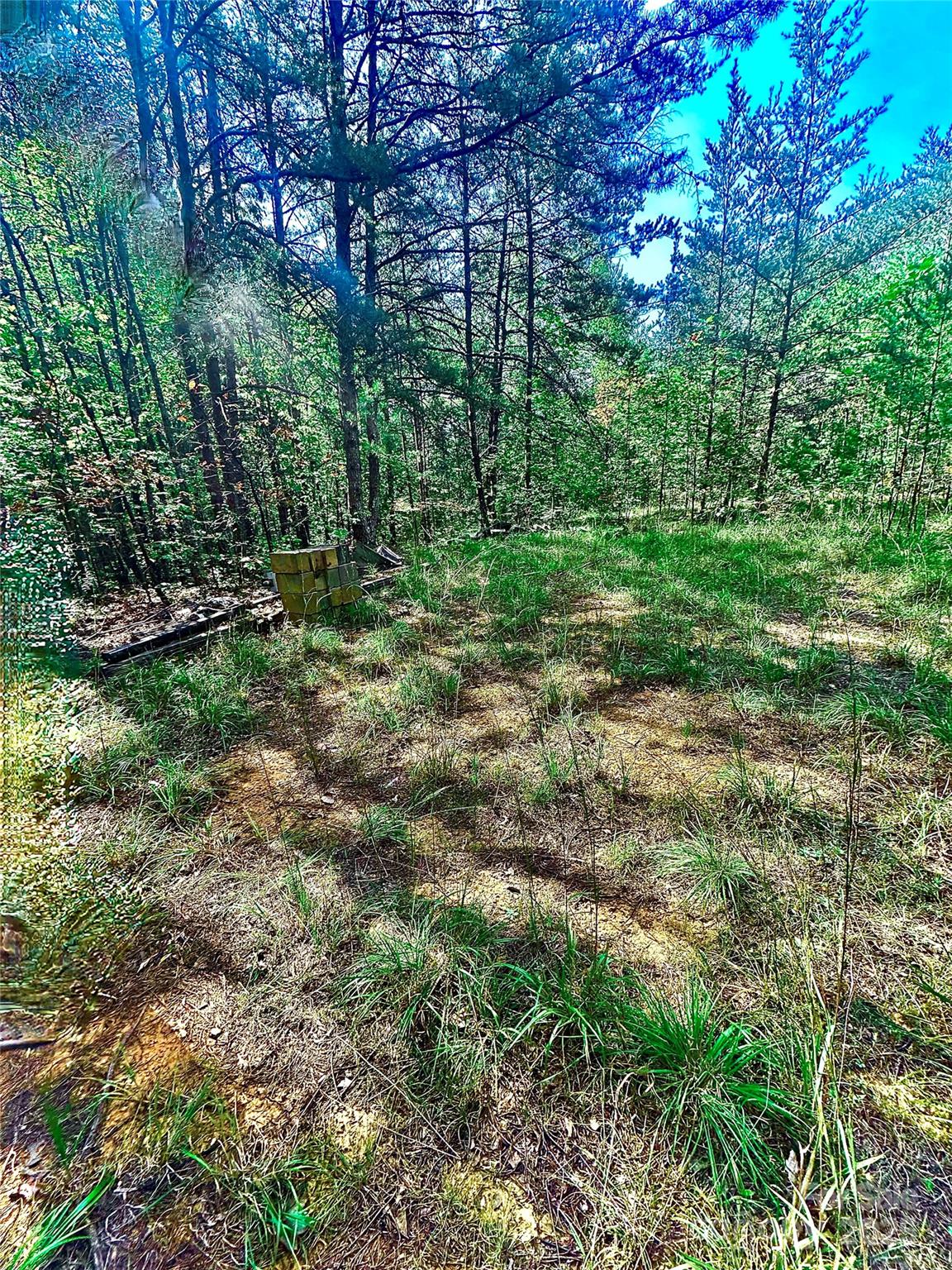 366 Boland Drive Lake Lure NC 28746