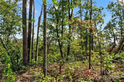 366 Boland Drive Lake Lure NC 28746