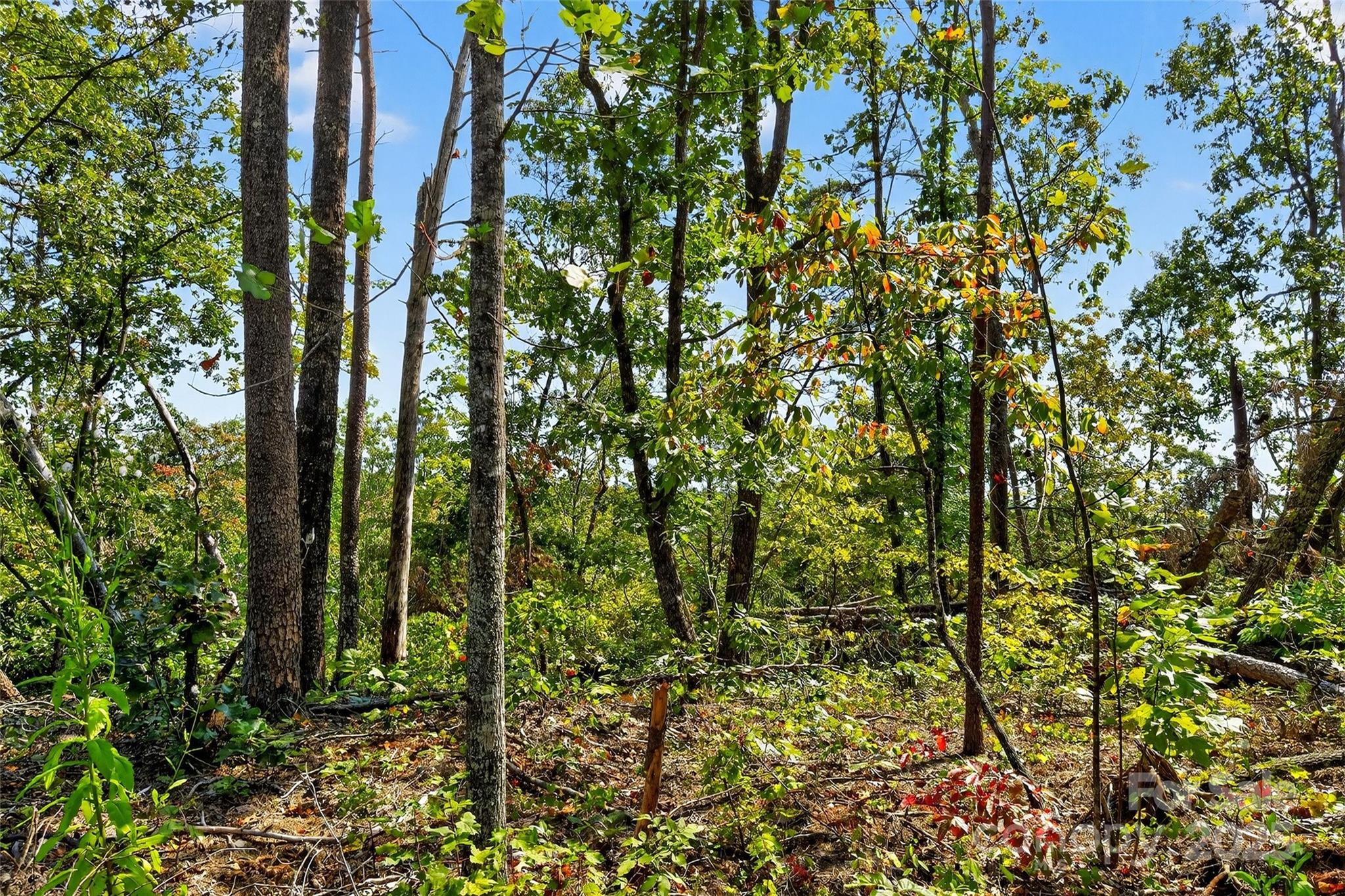 366 Boland Drive Lake Lure NC 28746