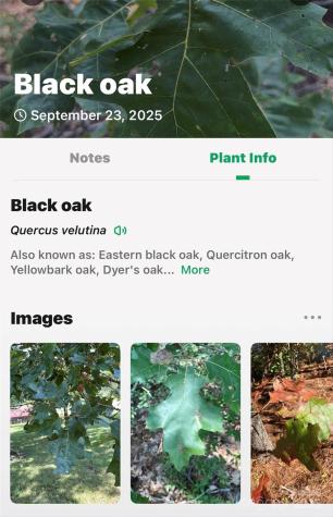 366 Boland Drive Lake Lure NC 28746