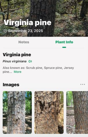 366 Boland Drive Lake Lure NC 28746