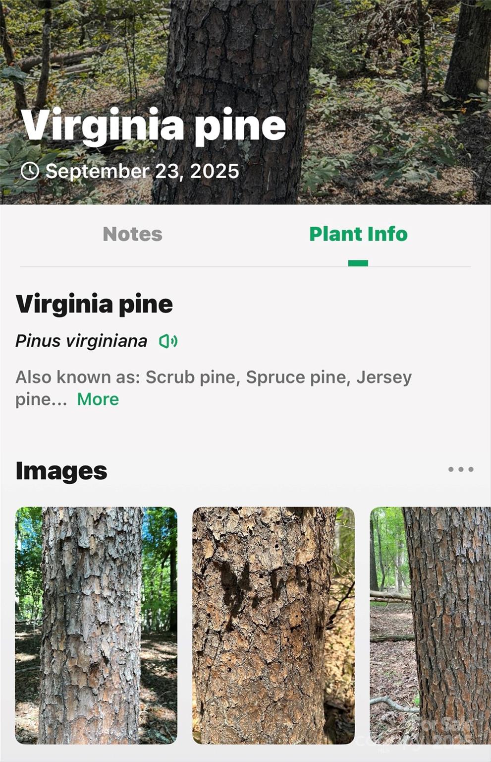 366 Boland Drive Lake Lure NC 28746