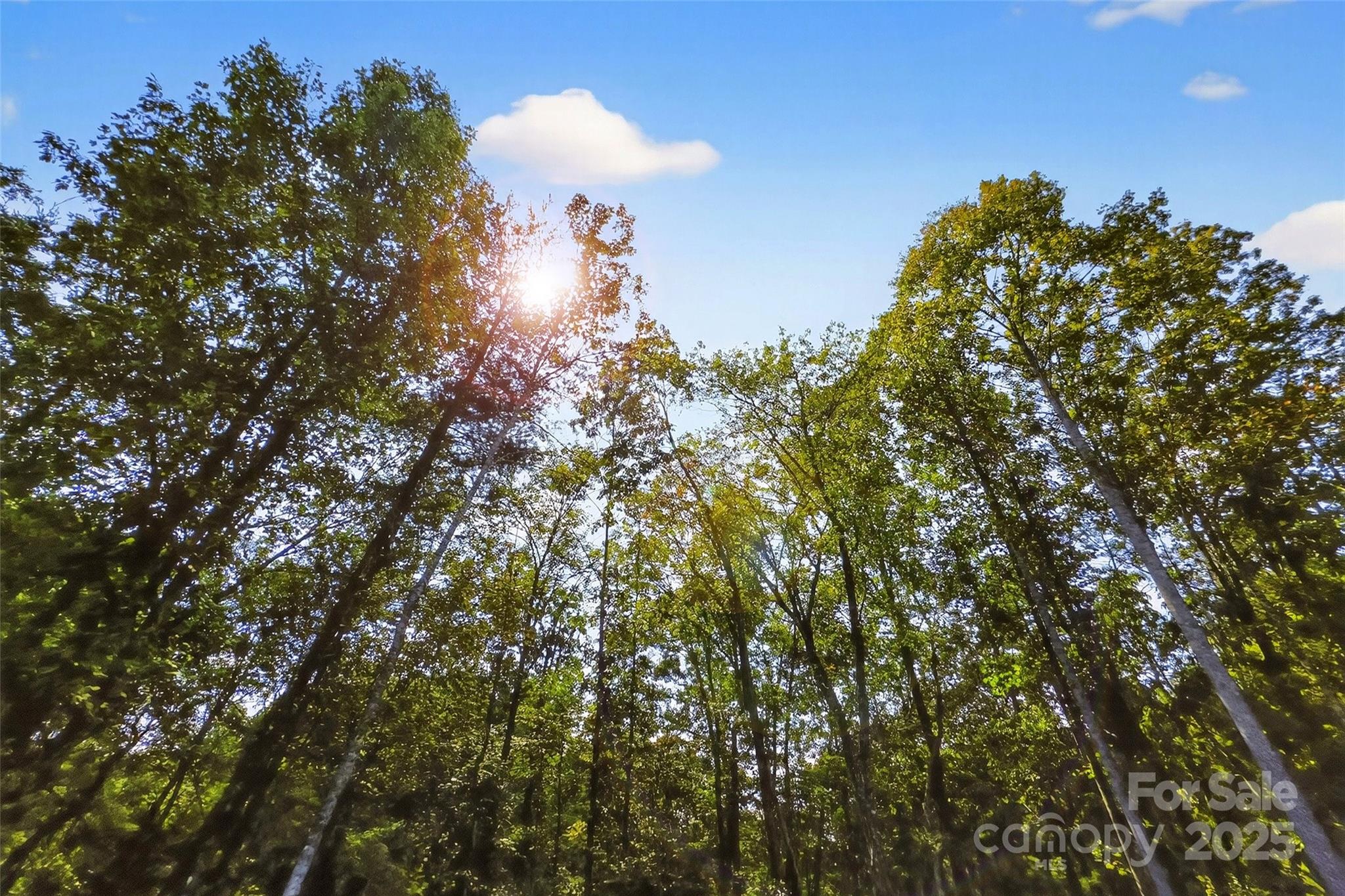 366 Boland Drive Lake Lure NC 28746