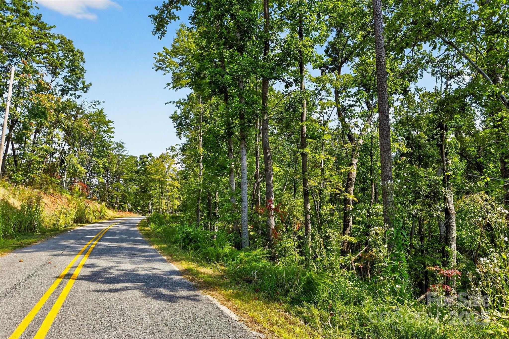 366 Boland Drive Lake Lure NC 28746