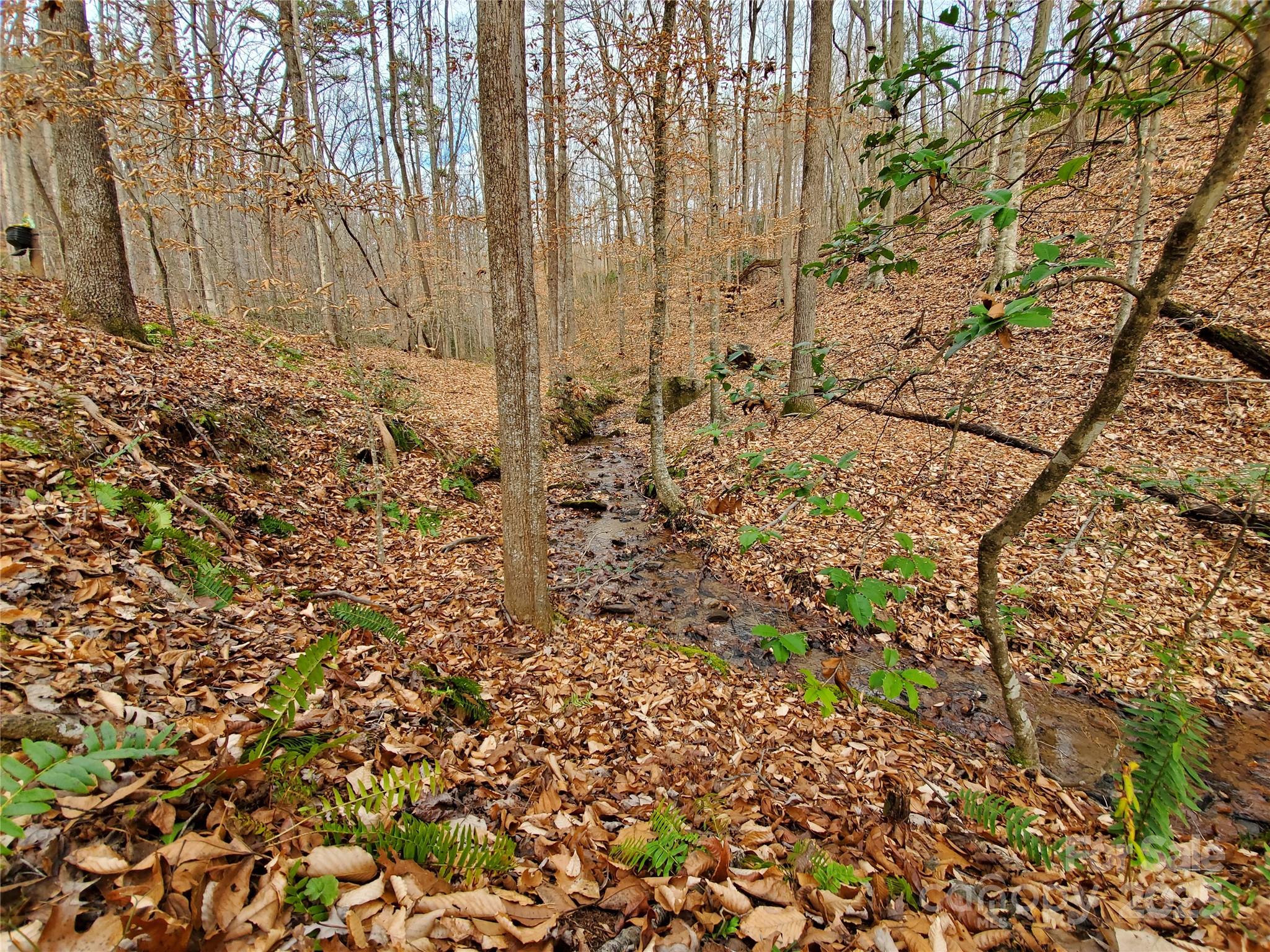 366 Boland Drive Lake Lure NC 28746